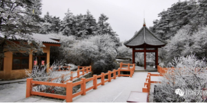 赵英明们今天回家！老公包家务了吗？各种补助、免费兑现了吗？快来云监督