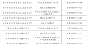 冰城公安：窗口不打烊 “粽”情享端午
