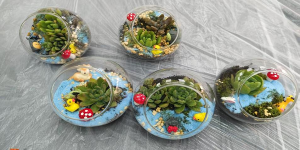 “共筑心程 共伴心光”同伴支持小组助力精神康复者重拾生活希望