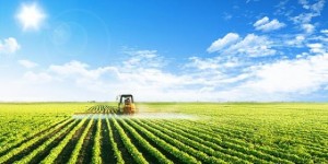 现代化农业： 推动农业发展的关键