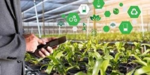 2023蔬菜种植技术升华：创新科技助力农业发展